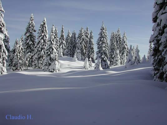Trentino Alto Adige Passo Coe inverno