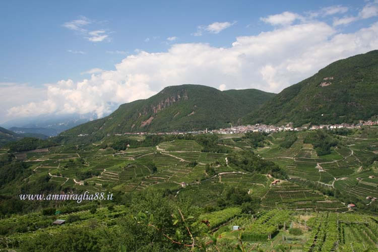 Cembra e Faver Trento Val di Cembra