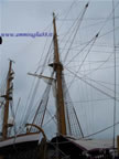 albero e cime nave scuola Palinuro a Venezia